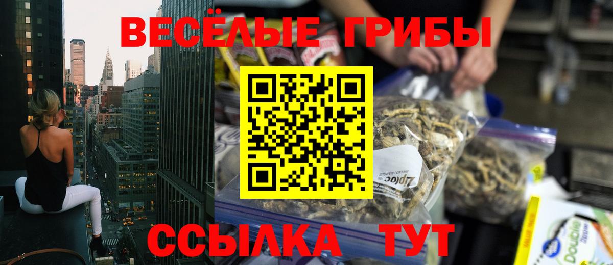 Псилоцибиновые грибы Cubensis Волгоград